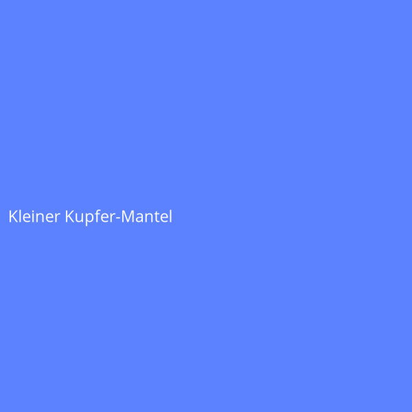 Kleiner Kupfer-Mantel