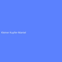 Kleiner Kupfer-Mantel